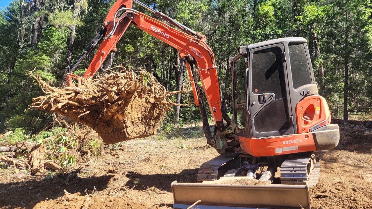 Brush & Stump Removal